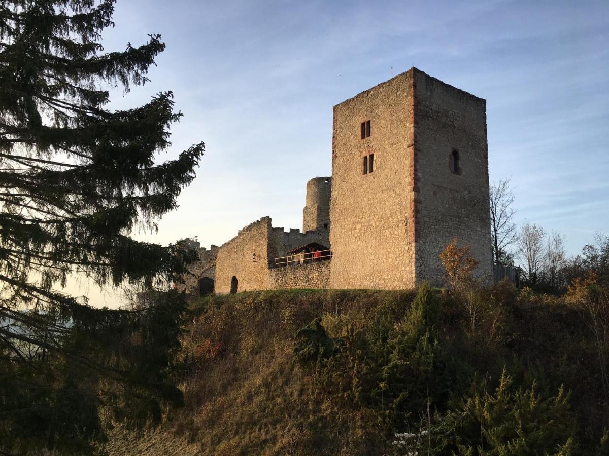 Ferienwohnungen Lausbuben & Zicken - Im Grunen Herzen Deutschlands Herleshausen Екстериор снимка